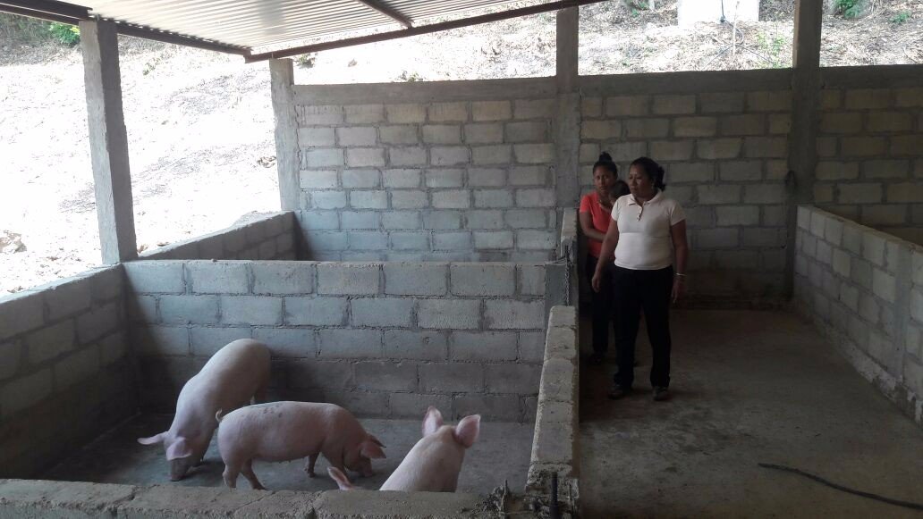 incarural's tweet photo. Verificación de avance a proyecto de producción primaria en la región Montaña en Guerrero #ArráigateJoven https://t.co/MXi91riKTN
