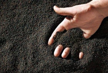 AgroCanMx's tweet photo. #SabíasQue La industria de canola canadiense ha creado más de 8000 trabajos en México #ComercioComplementario https://t.co/EZHJIt0yvp
