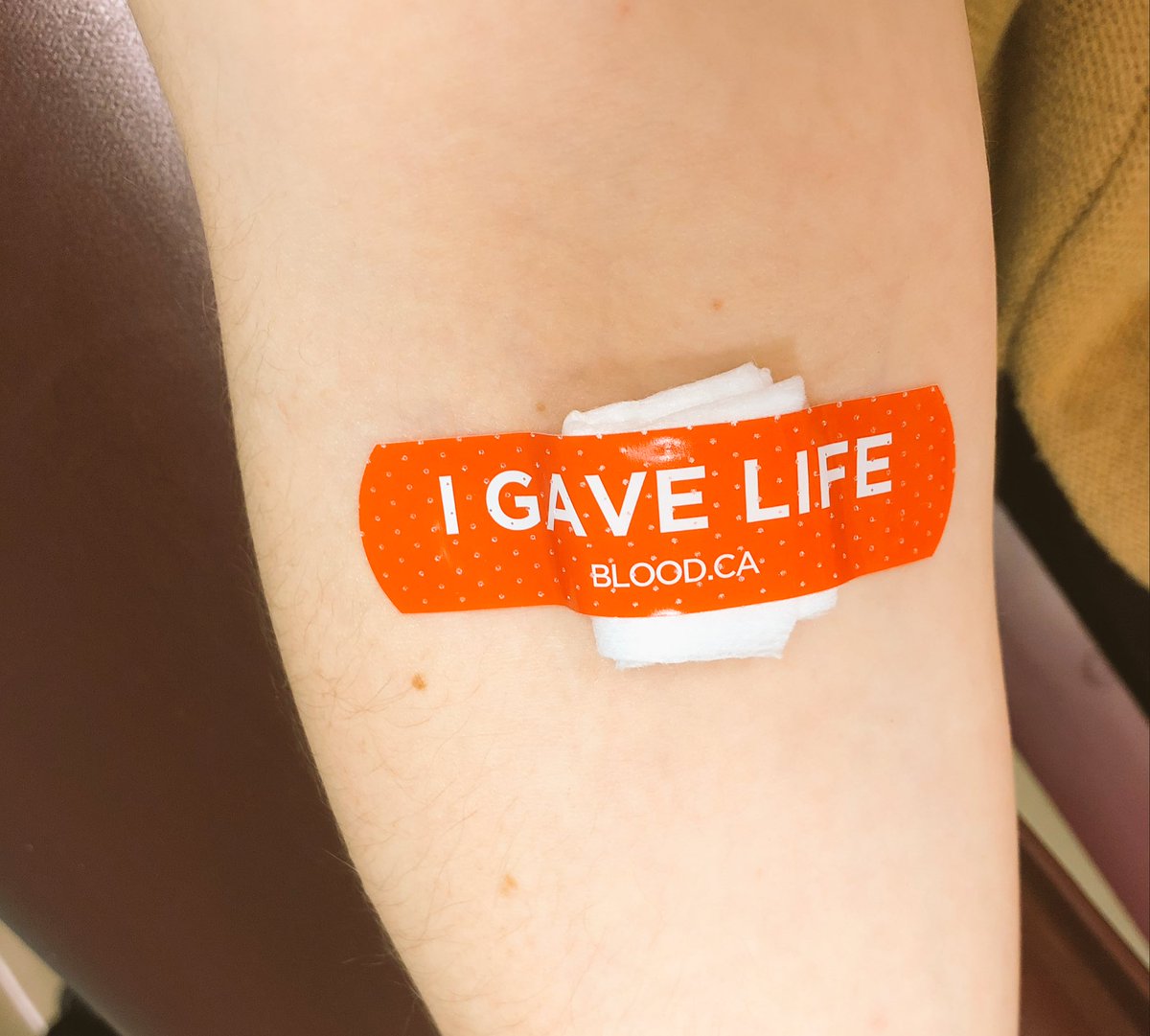 k_lively's tweet photo. PL Testing & Remediation team gives back. #itsinyoutogive #bloodservices #plrocks #TD https://t.co/ojdXwQVxkt