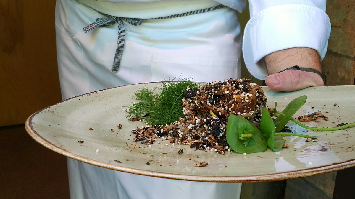 Star_Chefs's tweet photo. A much needed schooling and  #RealityCheck via @the_sioux_chef this AM re #indigenousfood #culturalappropriation #Wasna - dried duck, dried berries, puffed wild rice and amaranth, wild fennel and miners lettuce #ciawof #CIAWOF20 @jodyeddy https://t.co/PTUrprvWaU