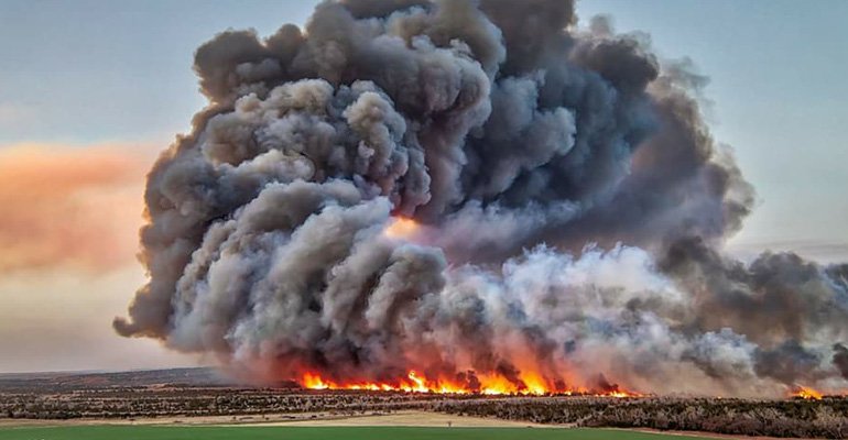 farmpress's tweet photo. Wildfire-related livestock losses may qualify Oklahoma ranchers for financial assistance. Click on this link to see if you qualify. https://t.co/XLi54nN8aP https://t.co/l3OBMyyfhQ