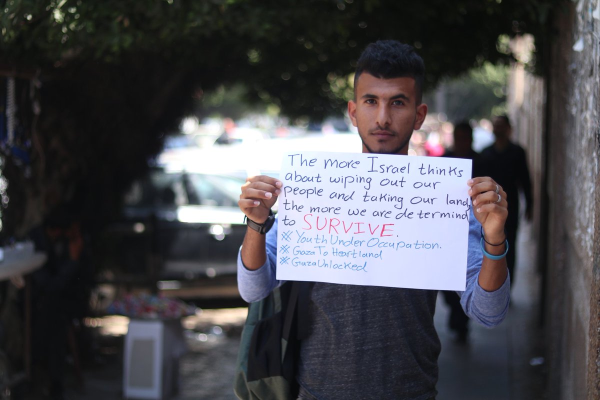 Mahmoud Gh tweet media