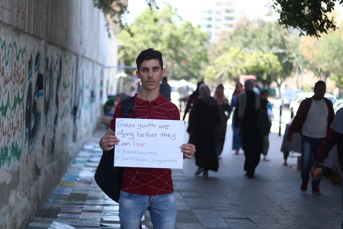 Mahmoud Gh tweet media