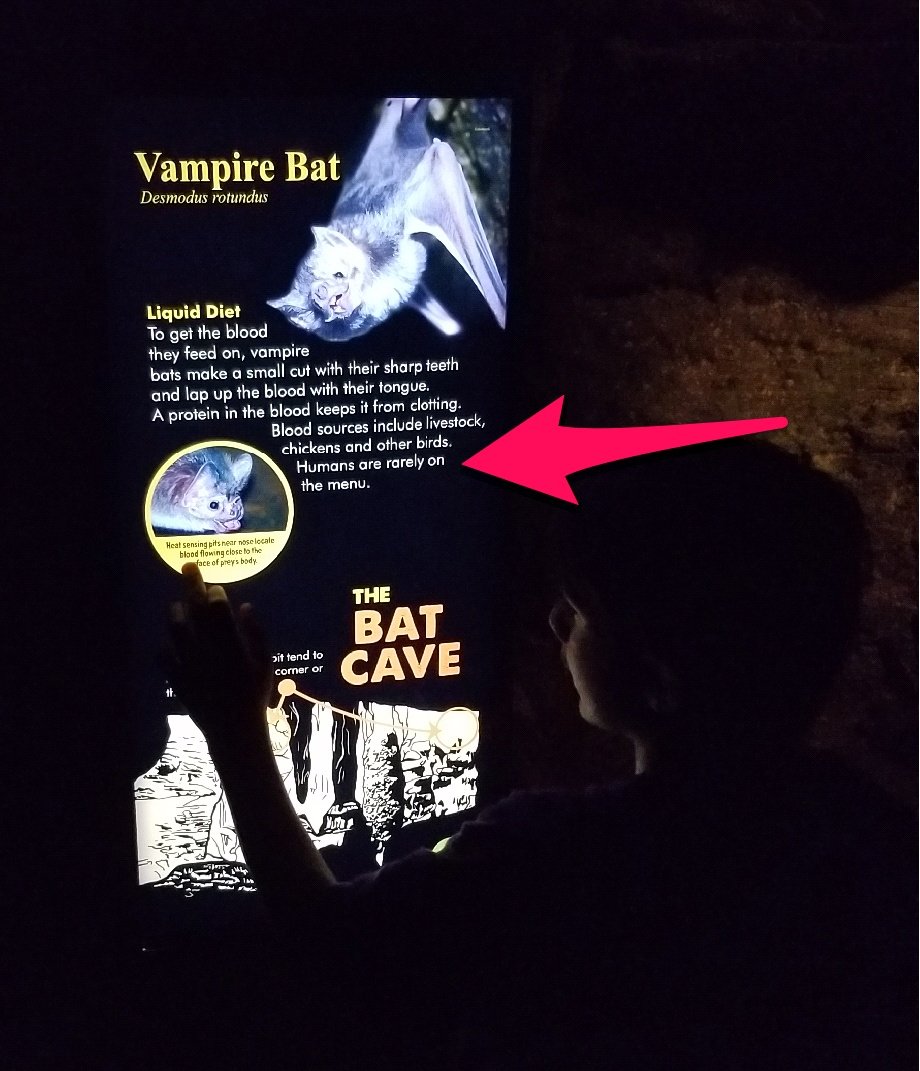 KyleHamstra's tweet photo. BREAKING! @DDEDolphins second grader discovers a shocking revelation in the bat cave @NCZoo! #ddezoo18 #sci2L11 #sci2L12 https://t.co/FaAtyyEm2v
