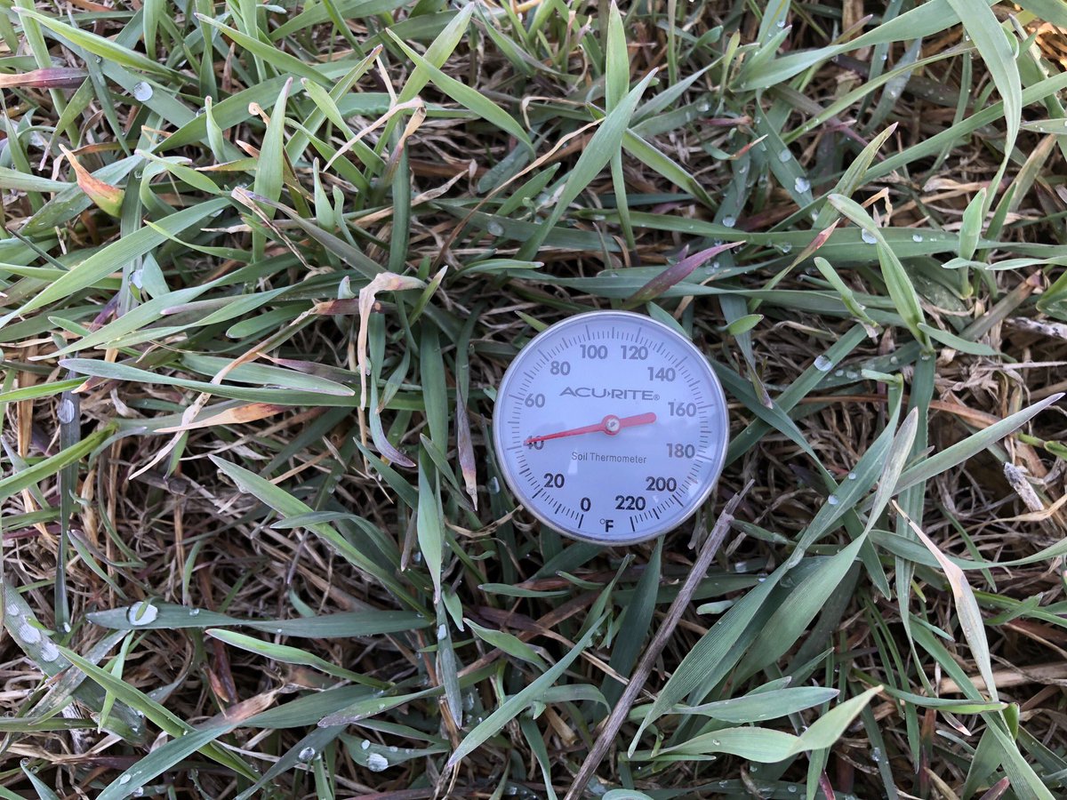 Continuum_Ag's tweet photo. Tilled ground vs #CoverCrop ground. Thought there would be a #GroundTemp difference but there really wasn’t....still a little cold and wet for #Plant18 https://t.co/QYEH8Vyl4F