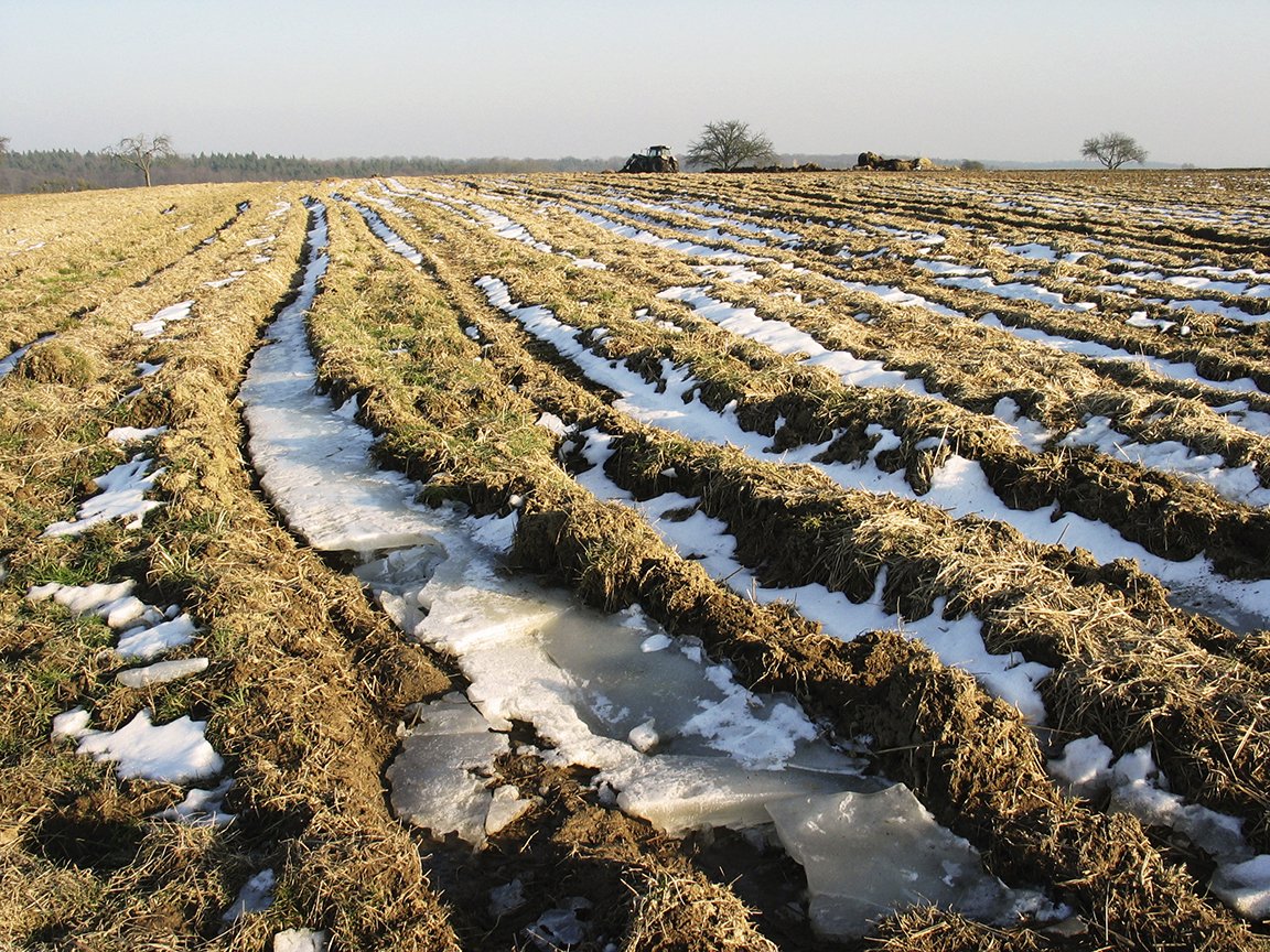 FCCagriculture's tweet photo. RT @nutrienltd: What's the impact of soil temperature on crop emergence on the Canadian #Prairies? Read this Grainews Q&A with a #CropProductionServices agronomist for some thoughts: https://t.co/DPOW2wyFOb… https://t.co/CdvIbgJZPD