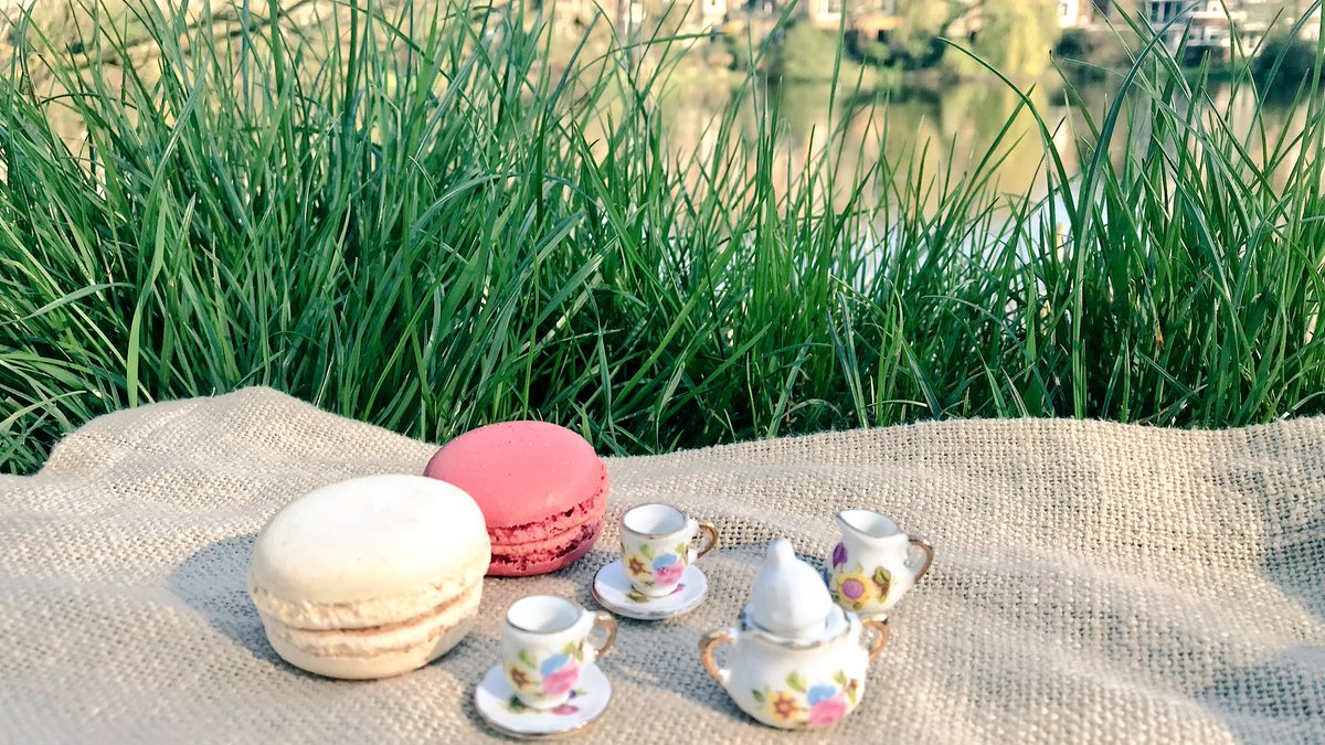 TeaProUK's tweet photo. Decided to take #tinytea outdoors ๐ธ enjoying the sunshine by the lake! #hottestdayoftheyear https://t.co/xRLQE09Cfj