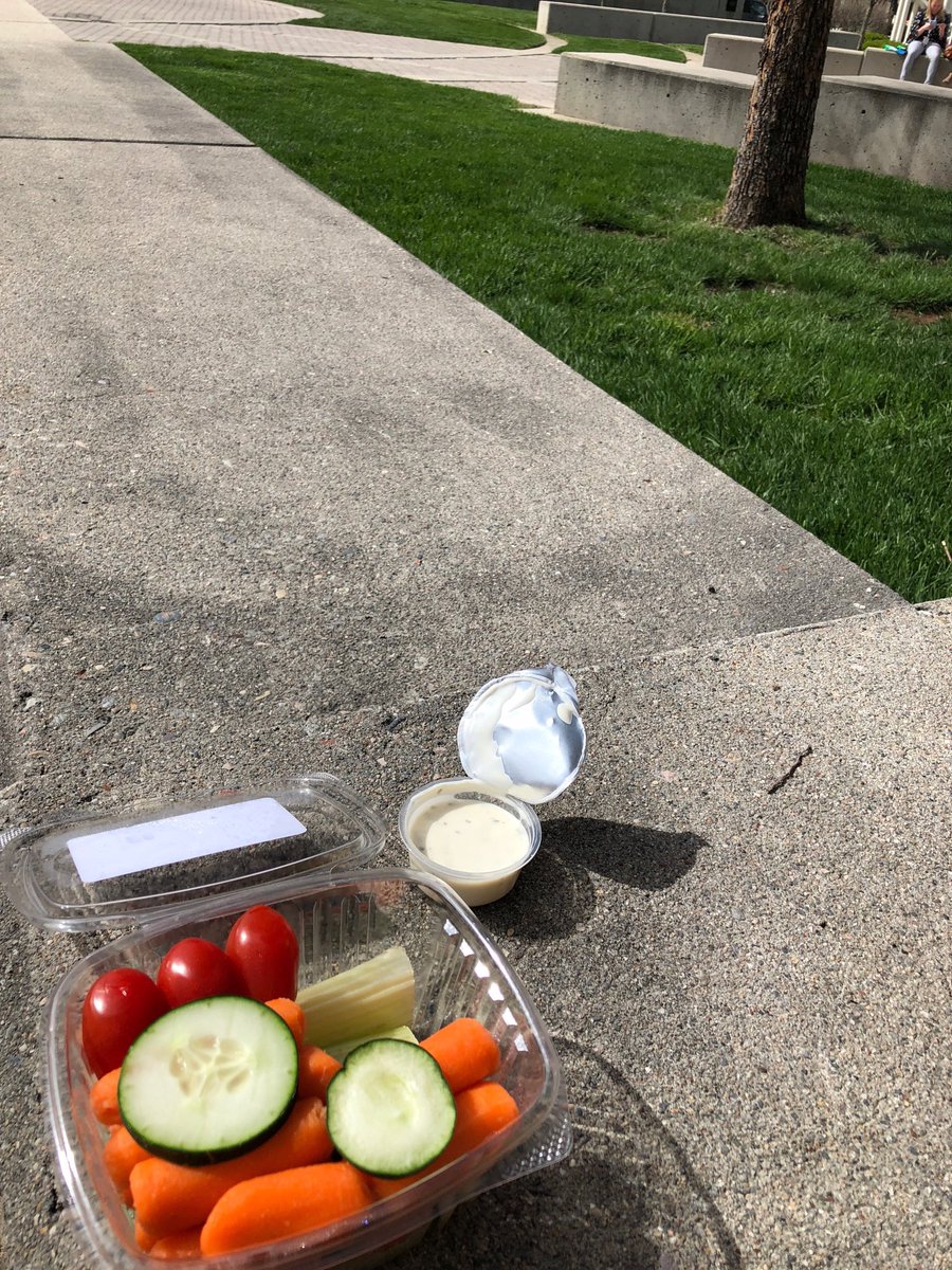 MeredithGrinn's tweet photo. Veggies, sunshine, and green space #keepingbalanced at #aota18 https://t.co/kaThaua3cw