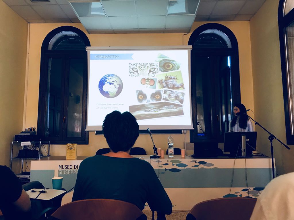 How do animals perceive the world? The investigation of the Delboeuf illusion in teleost fishes #bem2018