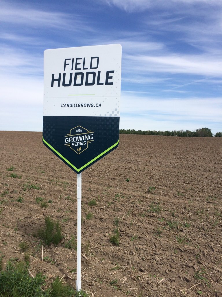 Iamthenorth1's tweet photo. Spring is in the air! Snow is melting finally. Lots of great field Huddles planned for this upcoming growing season. #cargillgrows #plant18 #springcomequick @GrowingSeries https://t.co/45Y8NjBAui