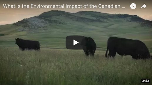 Do you think #beef production is bad for the environment? 4 reasons you could be wrong: bit.ly/2pxyU70 #Cdnbeef #Abbeef <a href="/BeefAdvocacy/">Beef Advocacy</a>