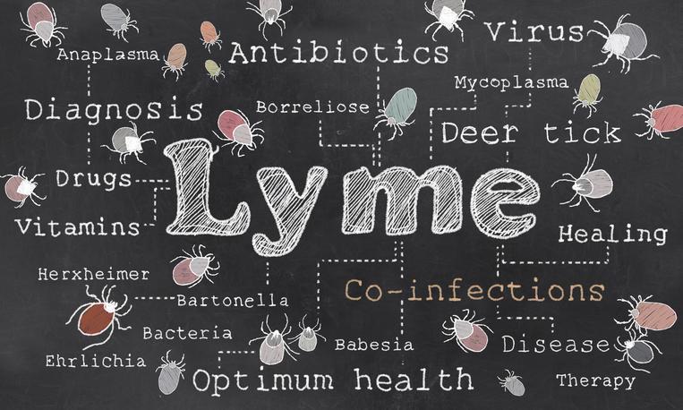Sciencedirect's tweet photo. For #TickAwarenessWeek find out more about the symptoms of tick bites and avoid any life-threatening diseases:
https://t.co/dV9QbI6TPj https://t.co/CCQWhfNR3p