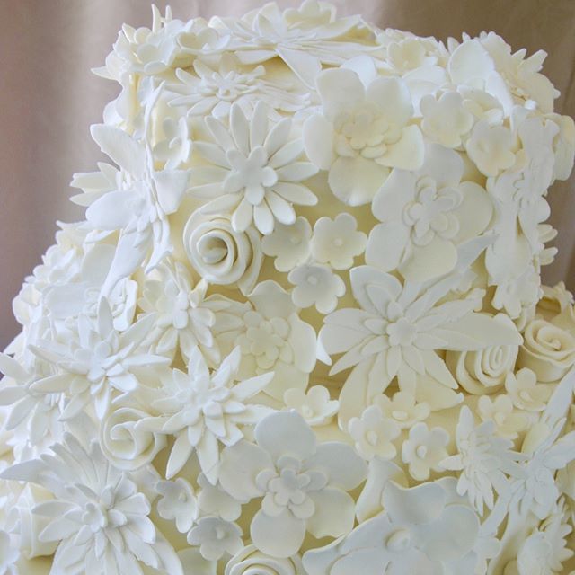 CTRBoston's tweet photo. Come on April...glad to see flowers somewhere!!
#thisspringistakingforever #flowerfest #takemeawaycalgon
.
.
.
.
.
#bobweddings2016 #bestofboston #bostonwedding #flashesofdelight #thatsdarling#livethegoodlife#bestofboston2016#bestofboston
#bostonweddings… https://t.co/o5dPHFuFzA https://t.co/BAkvt8tMiT