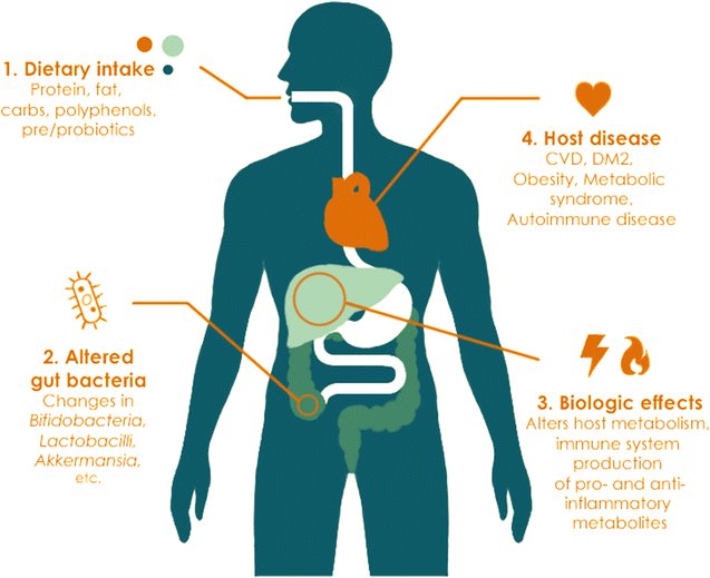 Influence of diet on the gut microbiome and implications for human health #science #health …nslational-medicine.biomedcentral.com/articles/10.11…