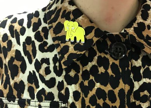 Endo the Elephant tweet media