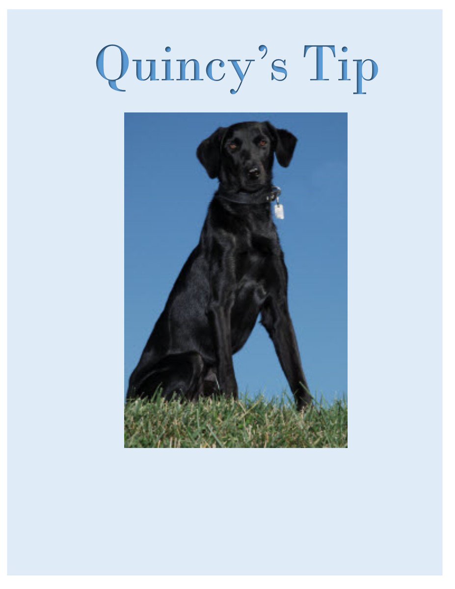 Quincy's Tip: If you see a #bedbug don't panic. Your friends at A Amendt can take care of your problem!