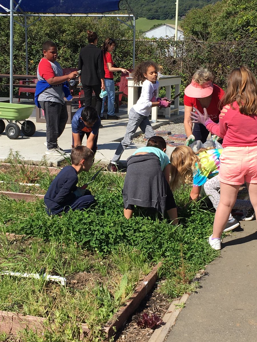 cindybfsusd's tweet image. Suisun Valley students busy doing their spring cleaning today. #greatforkids @SuisunValleyEl @fsusd