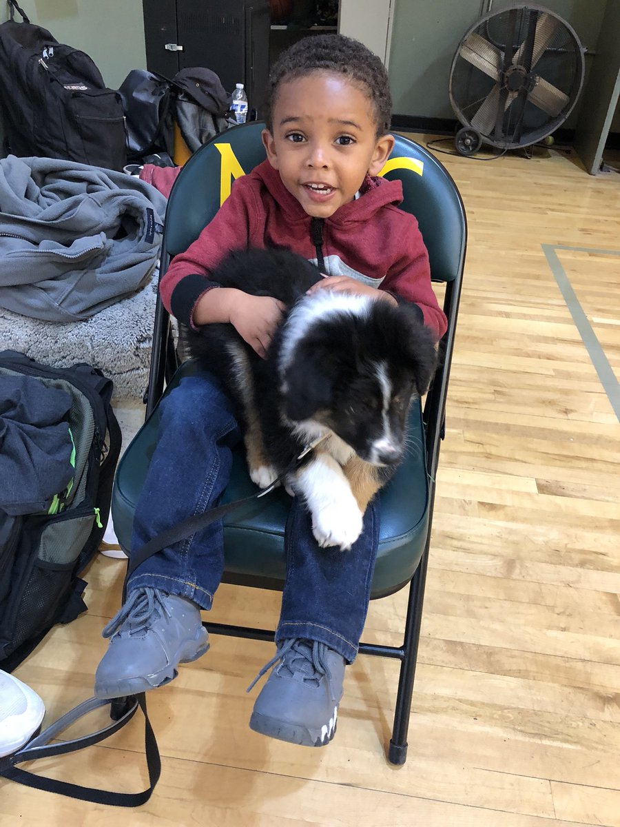 NVCBasketball's tweet photo. Excited to have Jordan Jenkins (son of former #StormBasketball player @mjiii25) and Ollie French (#puppy of @UAlbanyMBB signee & @nvcollege athlete @french_sasha) in the gym today #NVCFamily @NVCAthletics https://t.co/Z5eSMumOTB
