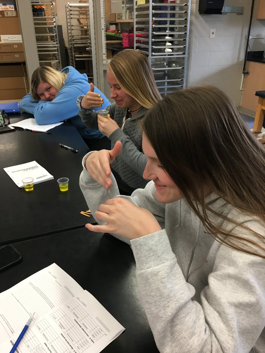 MrsRegovich's tweet photo. Urinalysis Lab today in #anatomy!! Students are trying to figure out what's wrong with our 4 patients by testing their #urine samples. โ๐ผ๐๐ฝ #whatcolorisyourpee #waftinglikeachamp #pH #sugartest https://t.co/535rbwIV7I