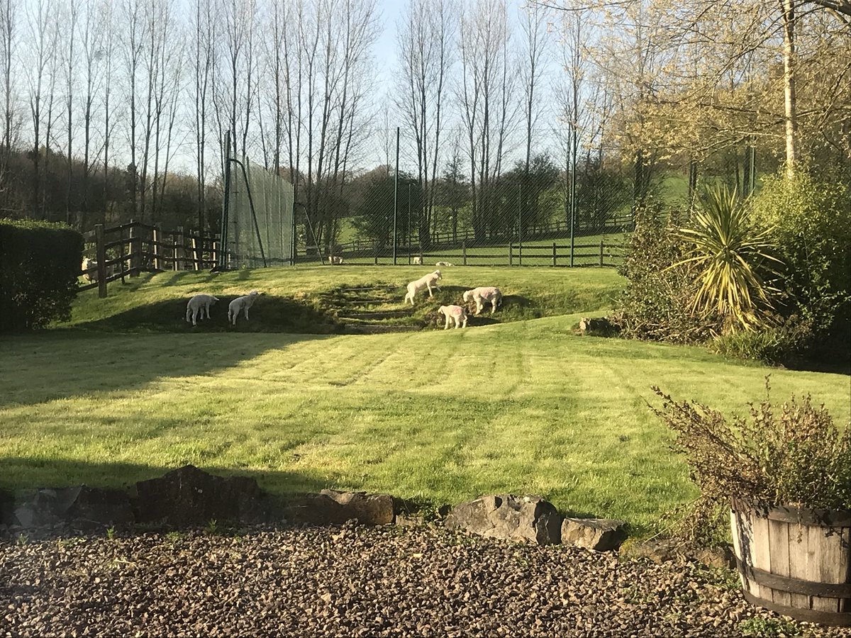 IanDHorsley's tweet photo. Not convinced you're really meant to be here. Does your mum know where you are? #hooligans #gettingbrave https://t.co/3WNku1nynN
