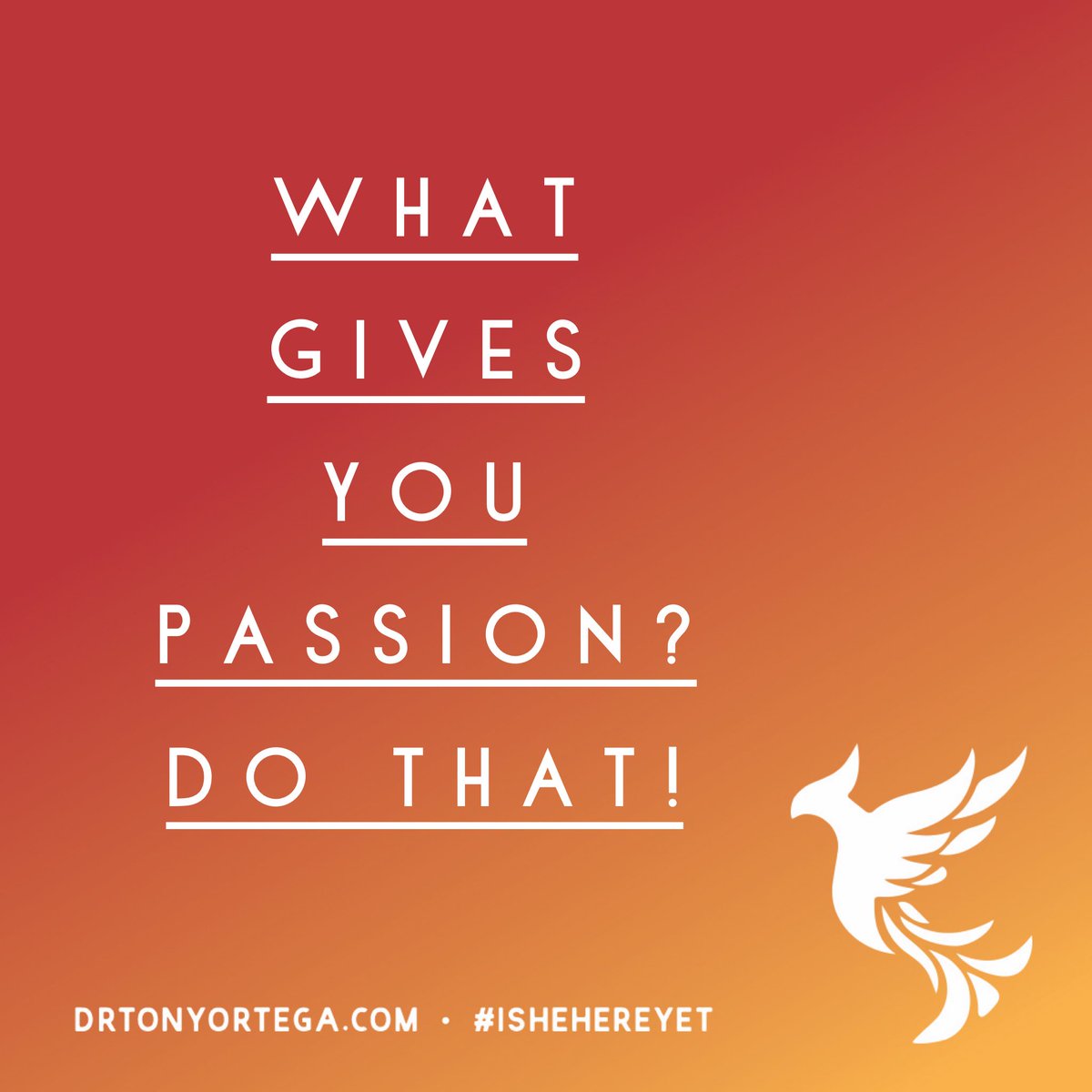 DrTonyOrtega's tweet photo. Don’t just exist. Live your passion #Gayman #gaymanga #Gaymanly #gaymanchester #gaymansdream #gaymanhattan #GayManStraightBar #gayman #gaymanchat #gaymanlondon #gaymanproblems #gaymannequin #GayManGuy #gaymann #gaymanlove #gaymantravels #gaymanchesterboy #gaymanpride https://t.co/BB14sHMkwn