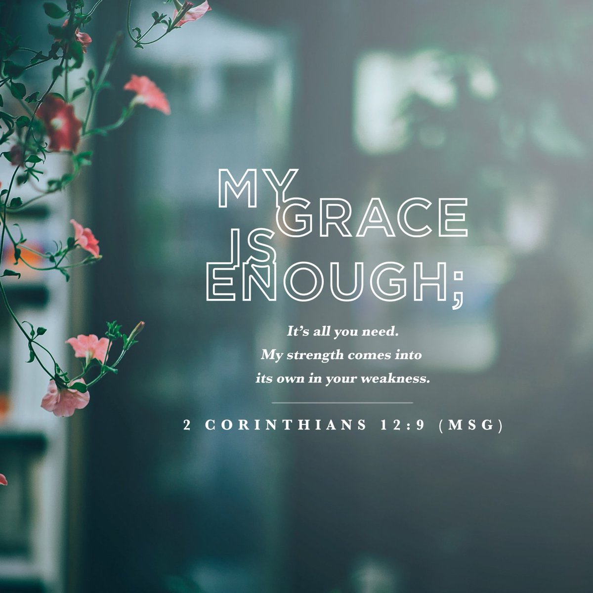 SPRINGScalgary's tweet photo. Trust in His grace!
#grace #jesus #strength #springschurch #wednesdaywisdom #bible https://t.co/d8oKRwpGsh