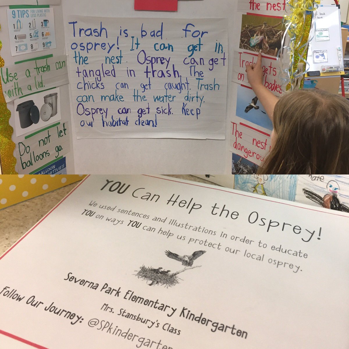 SPkindergarten's tweet photo. Join SP Kinders at the @SPEarthDayFest to learn about protecting osprey!  @SPESaacps #AACPSAwesome @AACPS_K5Science #operationosprey https://t.co/wRCTQt5ma1