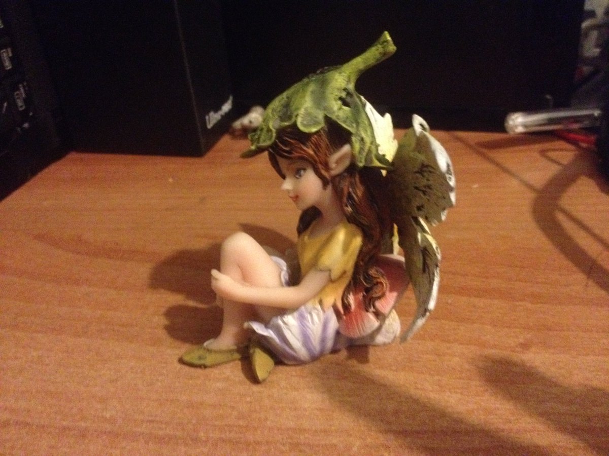 BlackIceBolt's tweet photo. Welcome home Leaf The Fairy! https://t.co/byBMcpQnSO
