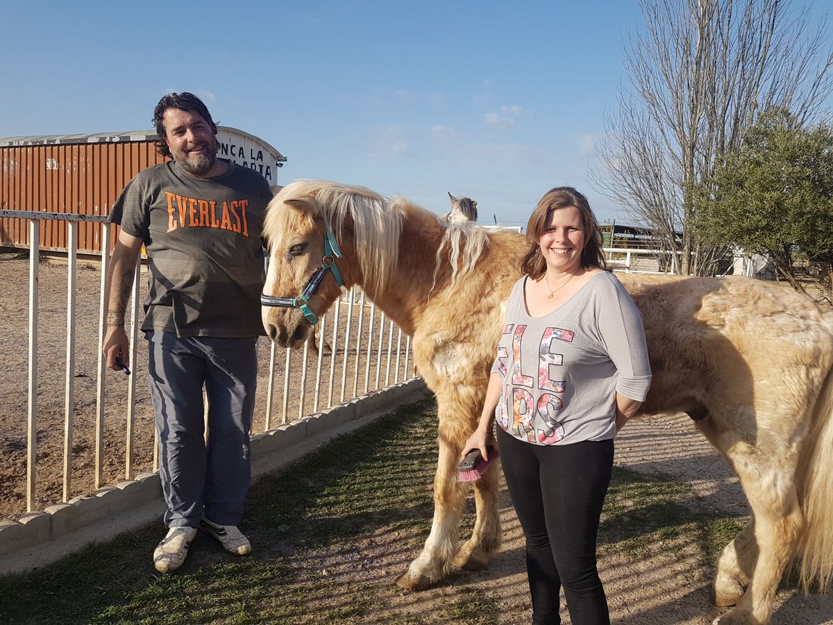 MadridDirecto's tweet photo. Cuando llegó la crisis, muchos dueños abandonaron a sus caballos. Y Ana y Antonio decidieron darles refugio en Ajalvir. 25 equinos cuentan con comida y techo en Reyca, en Ajalvir. "Algunos fueron dejados solo por haberse lesionado", cuentan a @ymaniega. #MD150 https://t.co/aWdmWV5rsh