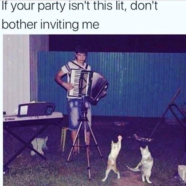 AISFORANIMALS's tweet photo. #WeekendGoals 🔥 Please send invites accordianly 😬😻😻 https://t.co/S84cTaIX8L https://t.co/FFt92rrsMz