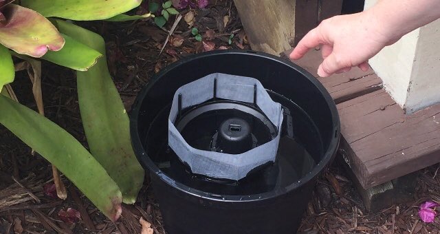IMascarenas's tweet photo. Hate #mosquitos? @ManateeGov mosquito control hopes this planter looking trap #In2Care will work, kills adult &amp; eggs https://t.co/EcRX5KjUko