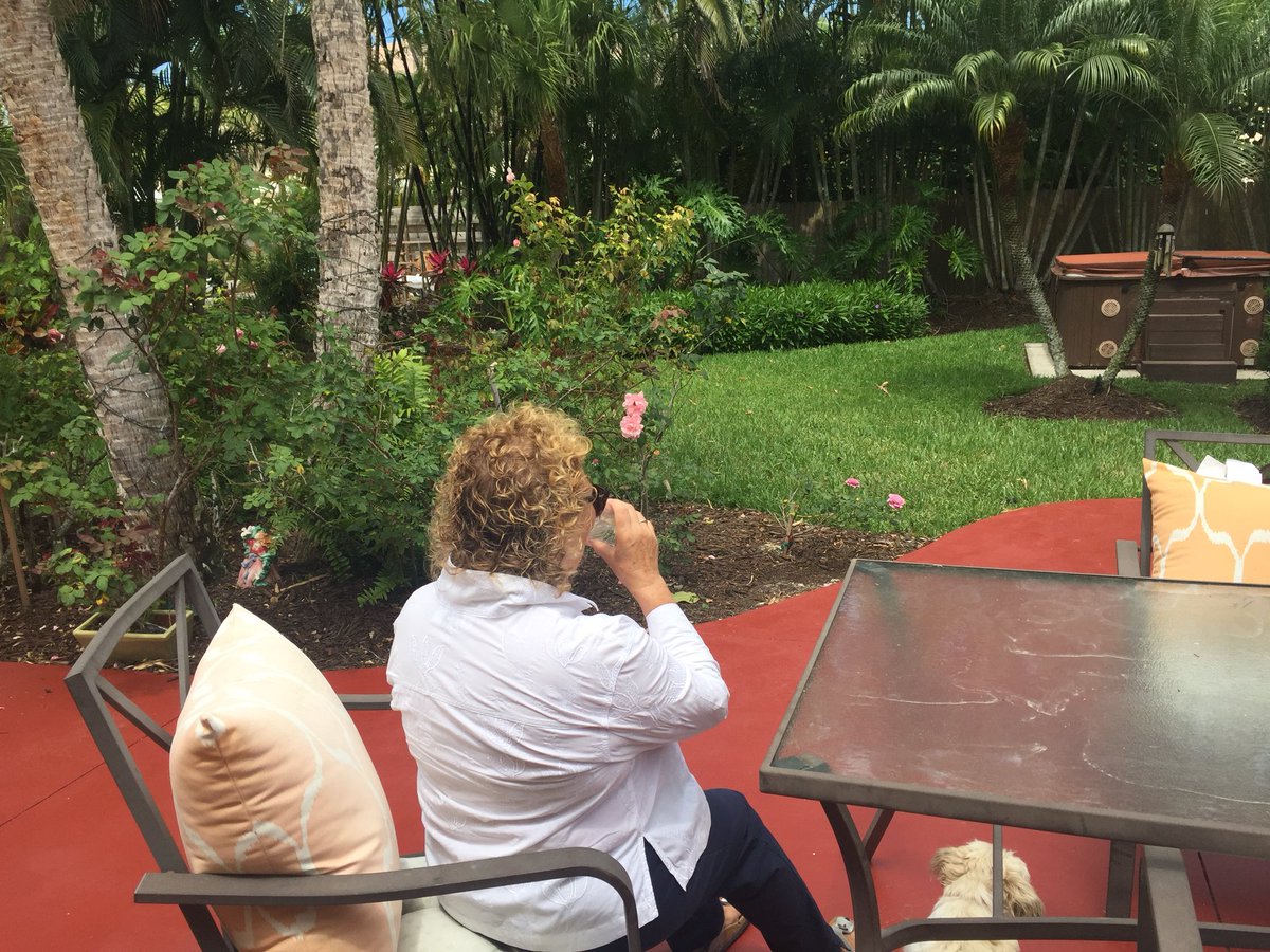 IMascarenas's tweet photo. Hate #mosquitos? @ManateeGov mosquito control hopes this planter looking trap #In2Care will work, kills adult &amp; eggs https://t.co/EcRX5KjUko