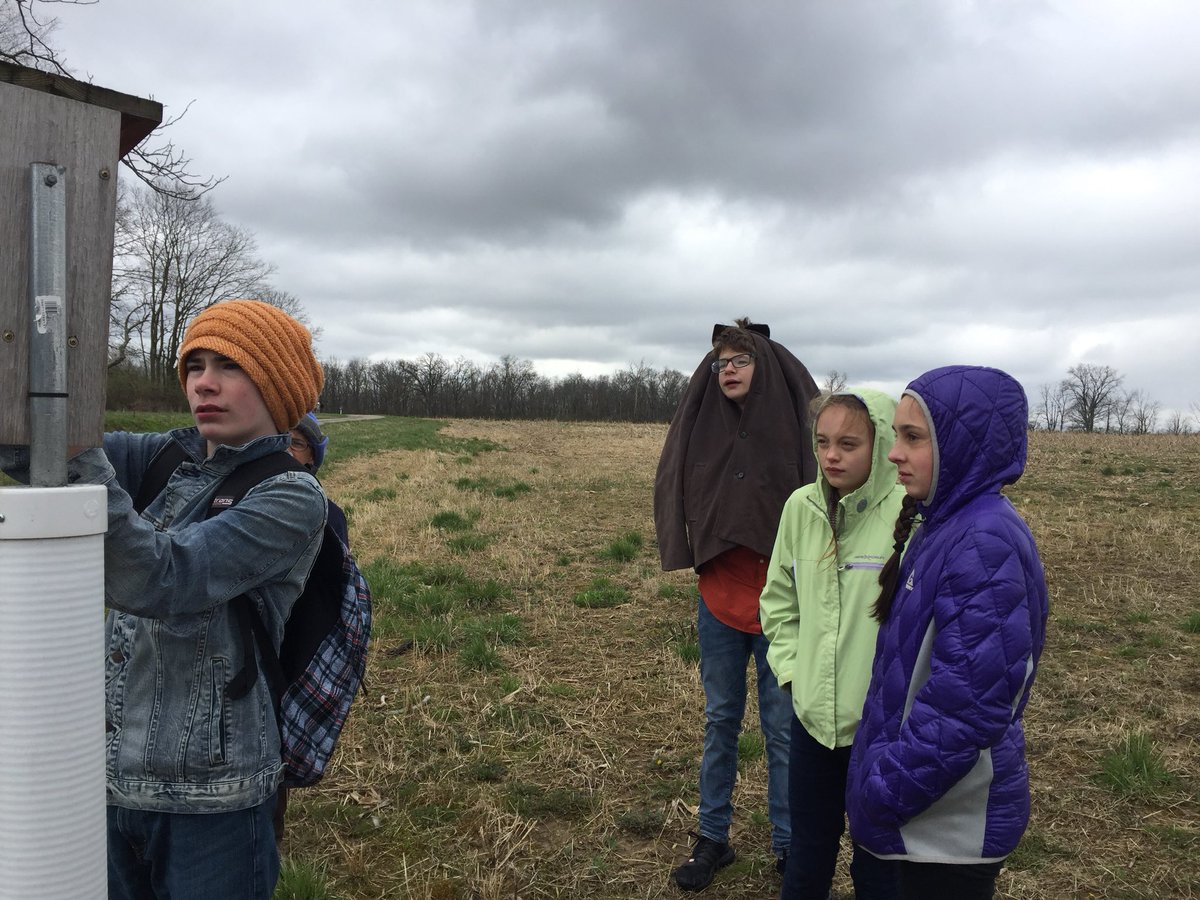opbluebirdys's tweet photo. Today was the first day of monitoring #Box1! We already have a complete nest and five bluebird eggs. The parents were sitting in a tree nearby, one of them flew down to the box. To find out what happens to these eggs, stay tuned for future posts. -IsaacJackJosieCheyan https://t.co/MkvO646Ayr