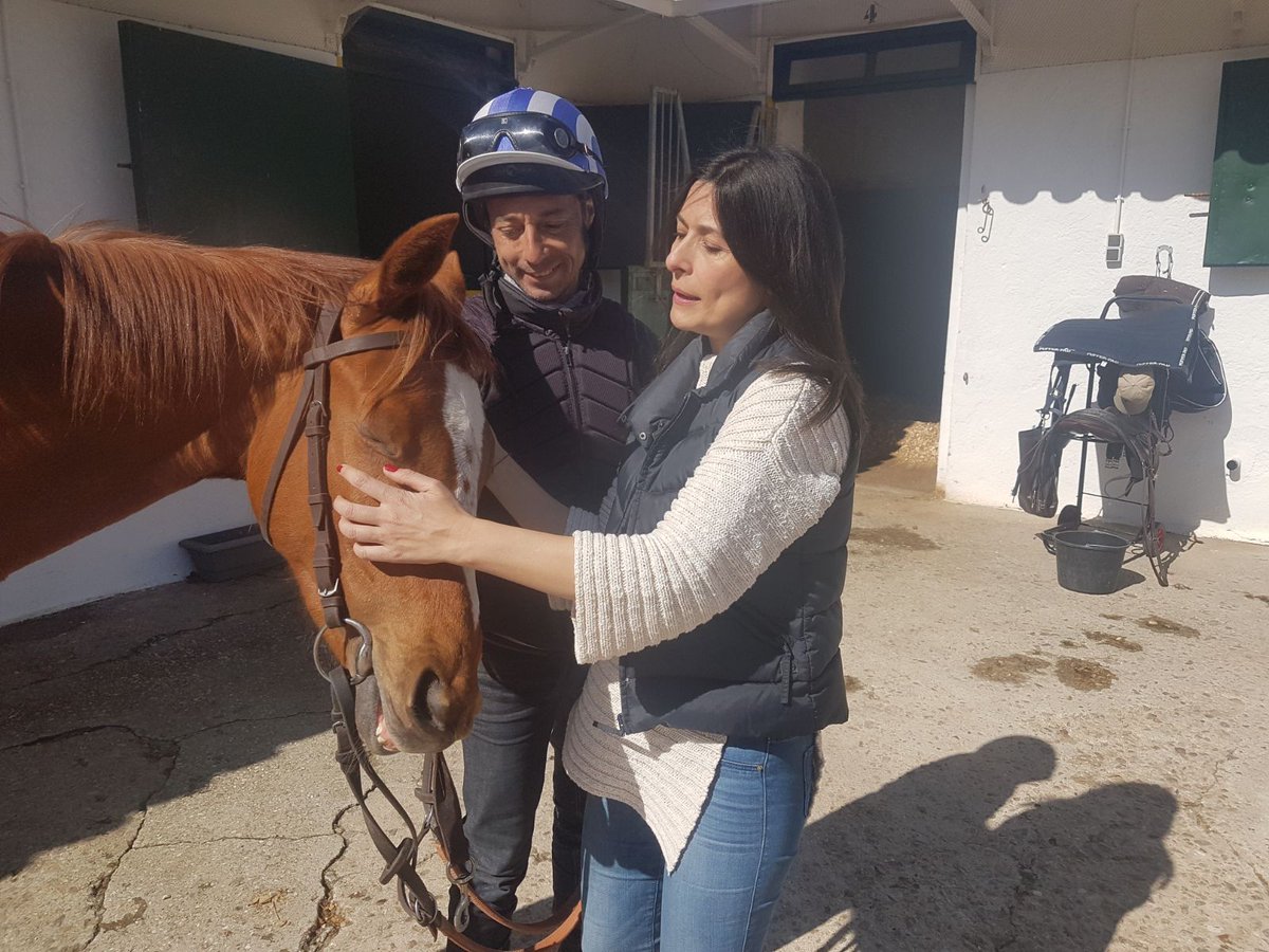 MadridDirecto's tweet photo. Atletas de cuatro patas. La temporada de carreras de primavera ha comenzado en el Hipódromo de la Zarzuela. @ymaniega conoce cómo estos se preparan para las carreras. "Además de la comida y el descanso, toca darles mimos", nos cuentan. #MD150 https://t.co/QC7oftMttt
