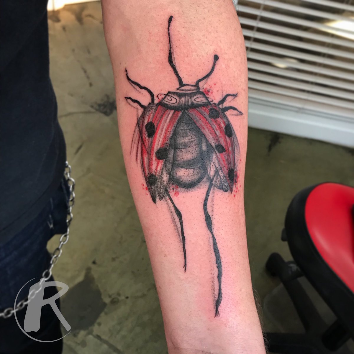 rbenderstudio's tweet photo. #ladybug 🐞 || by Stephane #comeonSpring #hintonburg #wellingtonwest #ottawa #ottawatattoo #ladybugtattoo #myottawa #narcityottawa #yow https://t.co/yiaKIP3RsQ