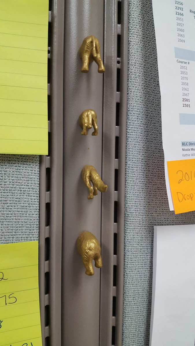 MeGratz001's tweet photo. My new officemates #cubiCOOL https://t.co/7L0csfNPQK