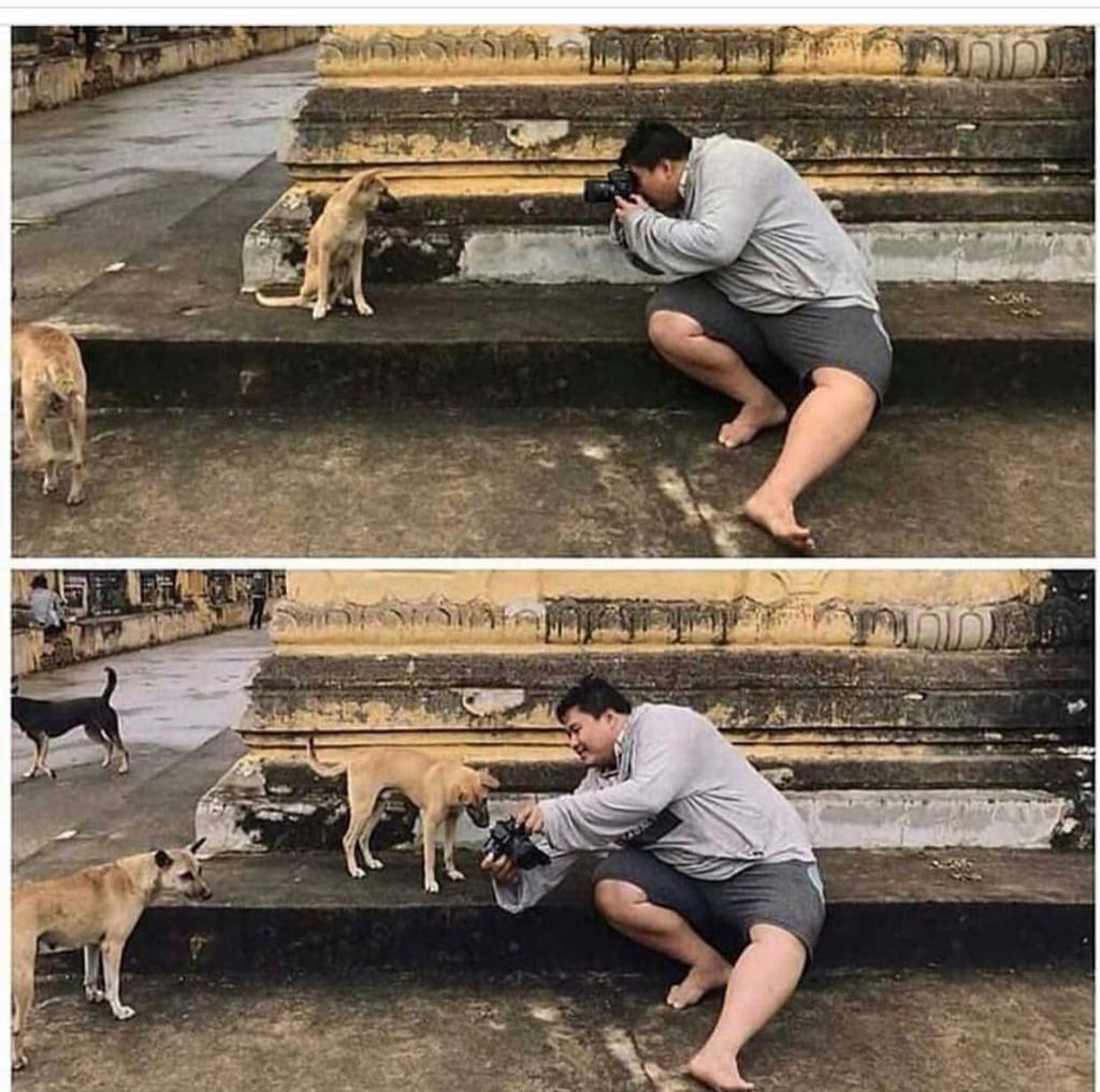 madanegopal's tweet photo. Customer satisfaction is most important thing 😜 #WA #JustTP https://t.co/MHFxBJJXpZ
