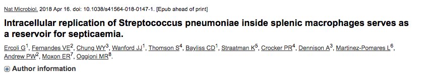 OlgaPena's tweet photo. GREAT #SepsisBasicScience study:π
1. It shows pneumococcus from an exclusively extracellular pathogen, to one with an intracellular phase
2. It shows that selecting the right antibiotic, make a difference in survival, based on the antibiotic's ability to penetrate macrophages https://t.co/hFCphMxpa1
