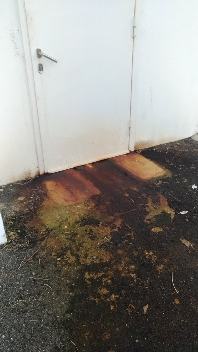 _geosolo_'s tweet photo. @VilledeTROYES ca ne vous cause pas de problème ? (Piscine dès chartreux) https://t.co/DSaiQvwAsf
