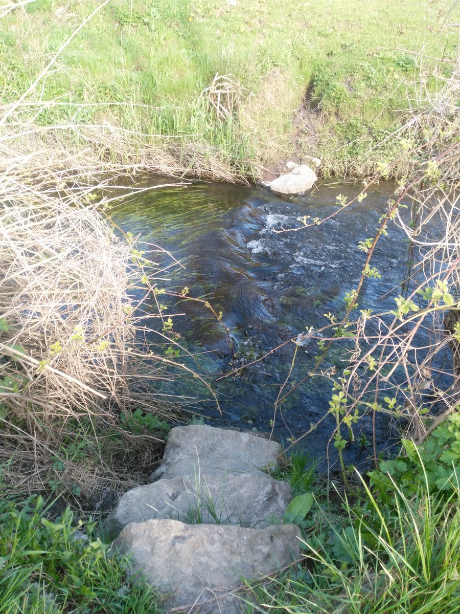CeiteachG's tweet photo. Such a beautiful day! #Sun #Carlow #Barrow #Barrowtrack #Barrowline #Ireland #walking #Nature https://t.co/weUHqiggQv