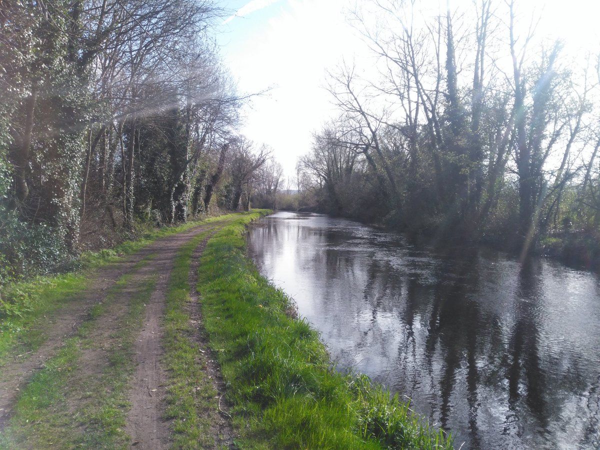 CeiteachG's tweet photo. Such a beautiful day! #Sun #Carlow #Barrow #Barrowtrack #Barrowline #Ireland #walking #Nature https://t.co/weUHqiggQv