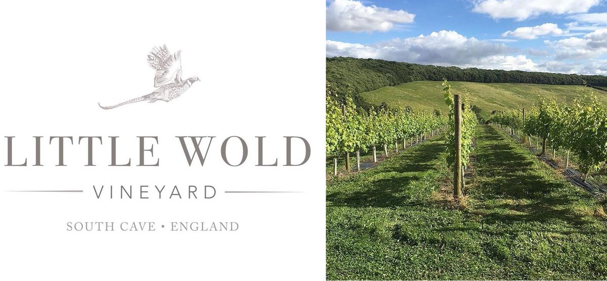 SAVE THE DATE! Sat 23rd June. We are SO excited to be working with <a href="/littlewvineyard/">Little Wold Vineyard</a> for our brand new event - Wine Dash! Take on a dash around the world of wines through beautiful Little Wold Vineyard South Cave. Registration is open soon so get your wine loving friends together!