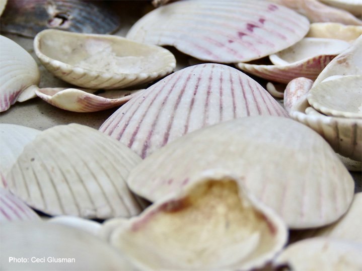 creativityworkshop.com
“There is no abstract art. You must always start with something. Afterward you can remove all traces of reality” Pablo Picasso