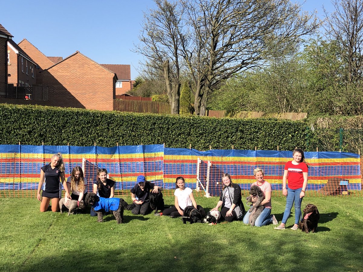 NinaGunson's tweet photo. What a glorious afternoon to be out playing Flyball with our dogs! @WGHSYorkshire @WGHSEdge https://t.co/kQk6JFHGLJ