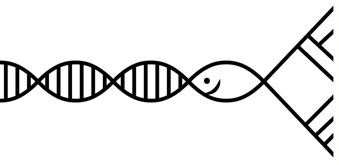 einführung in die korngrößenmeßtechnik korngrößenanalyse kennzeichnung von korngrößenverteilungen oberflächenbestimmung probenahme