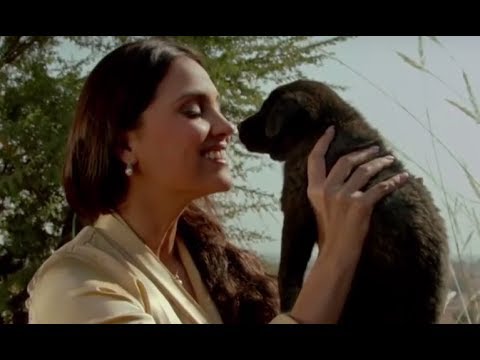 Happy Birthday Lara Dutta!!! -  The Times24 