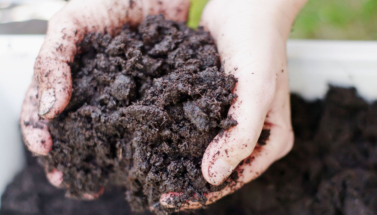 TrihopeMichigan's tweet photo. Spring is on its way! And research is telling us that playing in the dirt can get those happy juices flowing! So get gardening survivor friends! https://t.co/6aXpkoZaKN #survivorsupport #hopehealingfreedom https://t.co/RYESiYWpik
