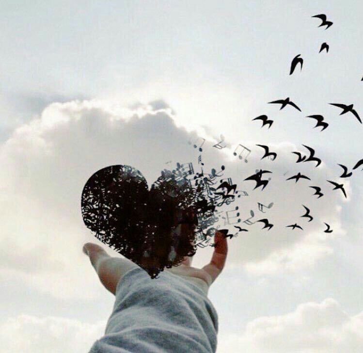 O amor é uma viagem
Que nos leva além de nós.
Às vezes dou carona,
Outras, pego carona.

O belo é que amo,
Pouco importando o trajeto
Que fazemos com as bocas
Quando loucas, se atracam.

Deixo lembranças em você
E levo comigo os momentos!
(Waldir Porfírio)