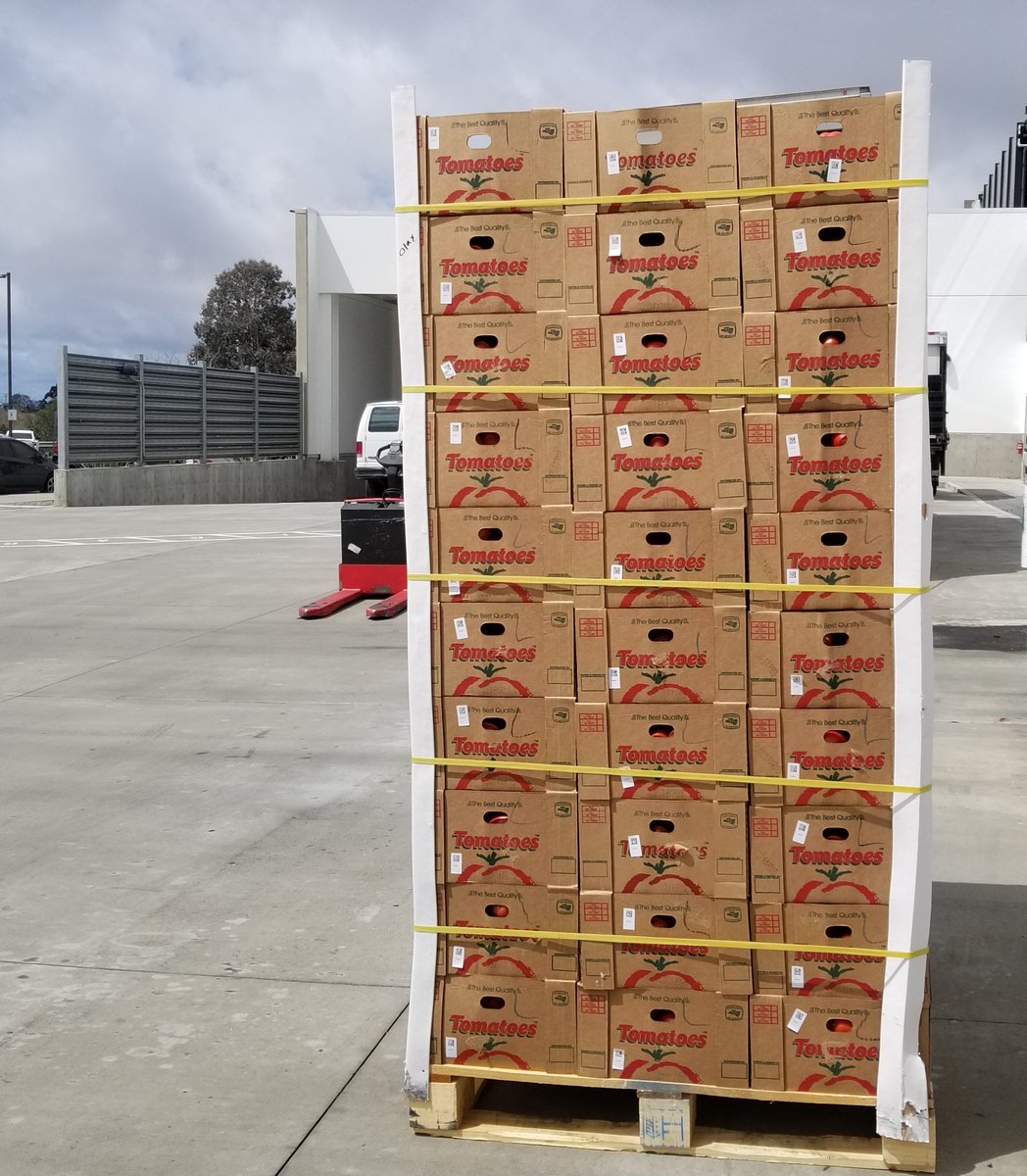 sdmesacollege's tweet photo. First delivery of produce from @FeedingSanDiego is here and our volunteers are ready to help. We are so excited to provide free fresh produce to our campus community! Please join us at 3pm at the Sunrise Plaza for distribution. #Allin4Students #TakingAStandAgainstHunger. https://t.co/wl1xas1Ut5
