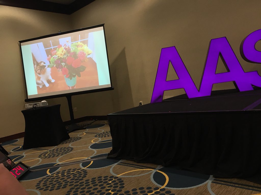 juliecerel's tweet photo. Of course @SFreedenthal Ted talk includes a kitten @CatsofSPSM #aas18 https://t.co/oPknMiltFe